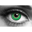 Green 3 tone