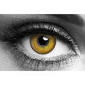 Hazel 3 tone