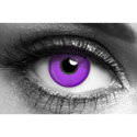 Violet UV