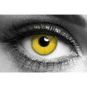 Yellow UV
