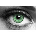Mystic Green
