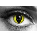 Yellow Cat Eye