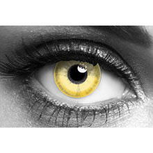 Avatar (2 lenses)