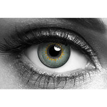 Grey 3 tone (2 lenses)