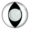 White Cat Eye