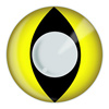 Yellow Cat Eye