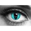 Aqua Cat Eye