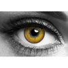Hazel 3 tone