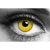 Yellow UV