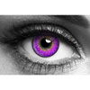 Violet 3 tone