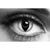 White Cat Eye