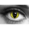Yellow Cat Eye