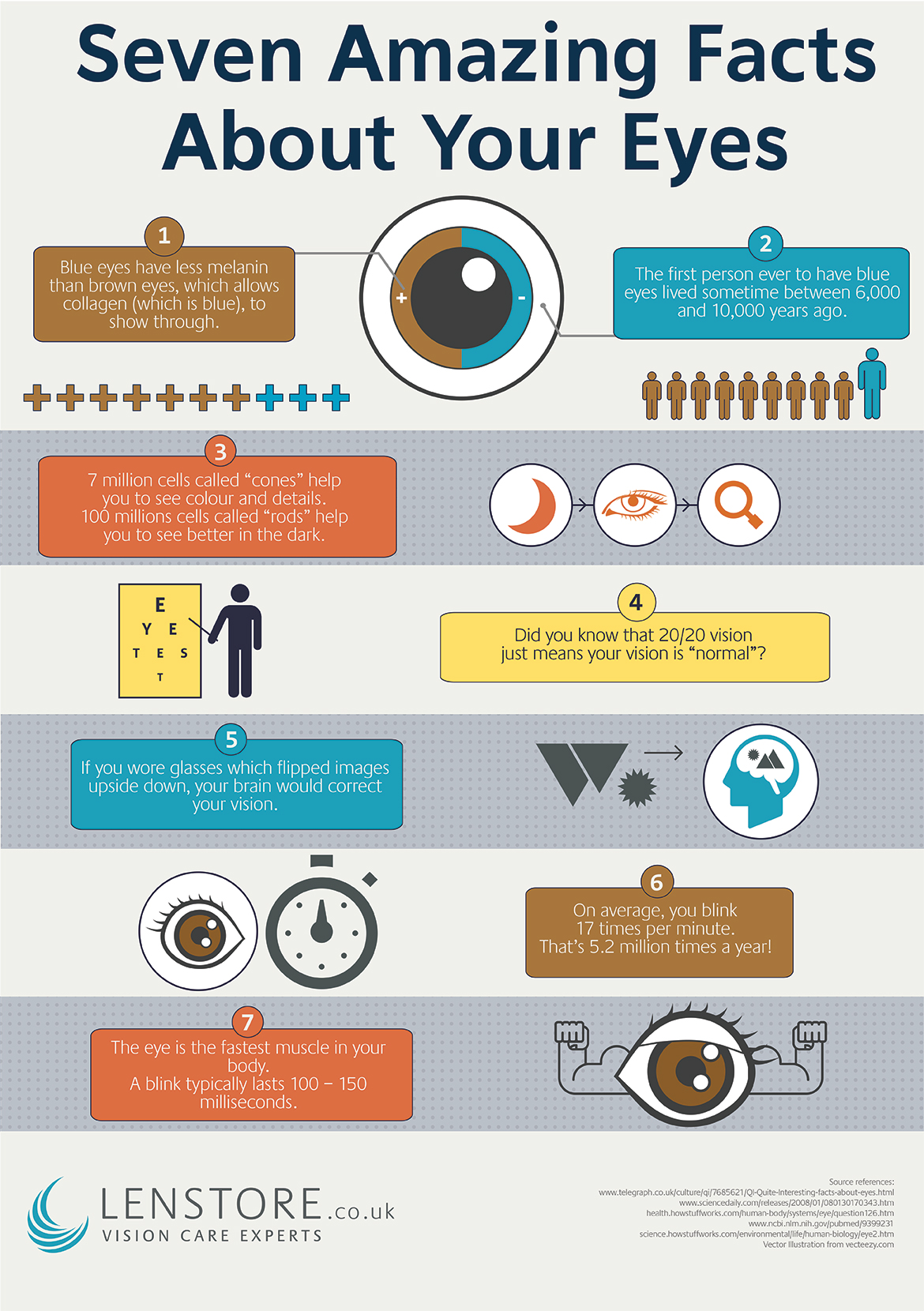 7 Amazing Eye Facts Lenstore Co Uk 7 Amazing Eye Facts Lenstore Co Uk