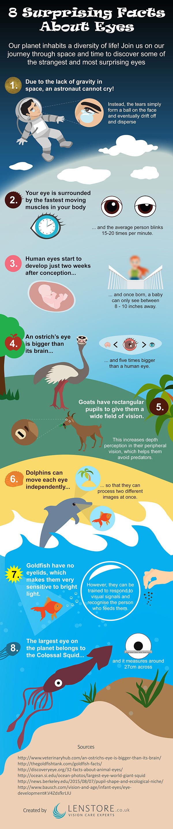 Facts about eyes infographic