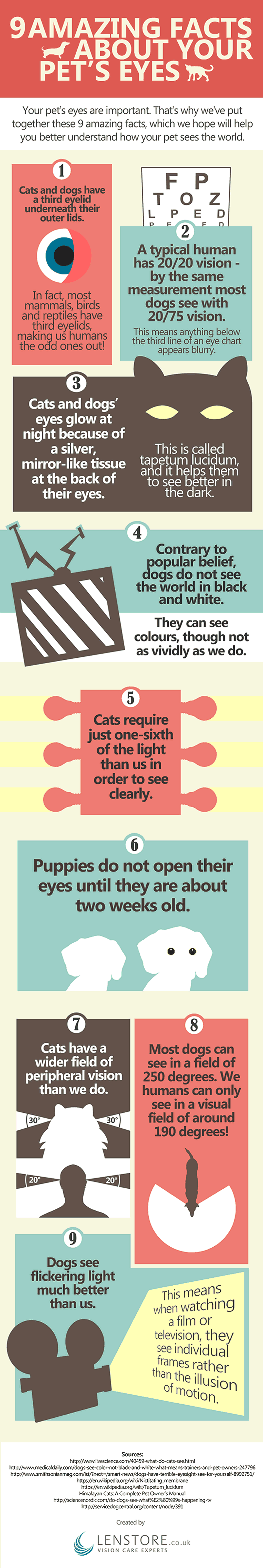 9 amazing facts about your pet's eyes infographic