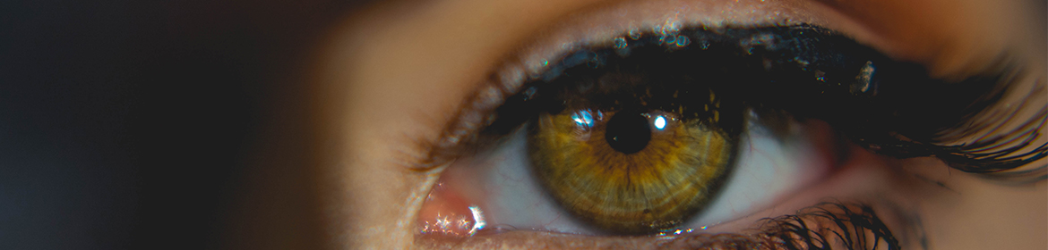 Close up eye with makeup