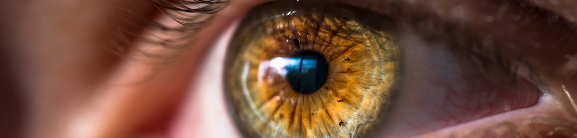 close up of green brown eyes