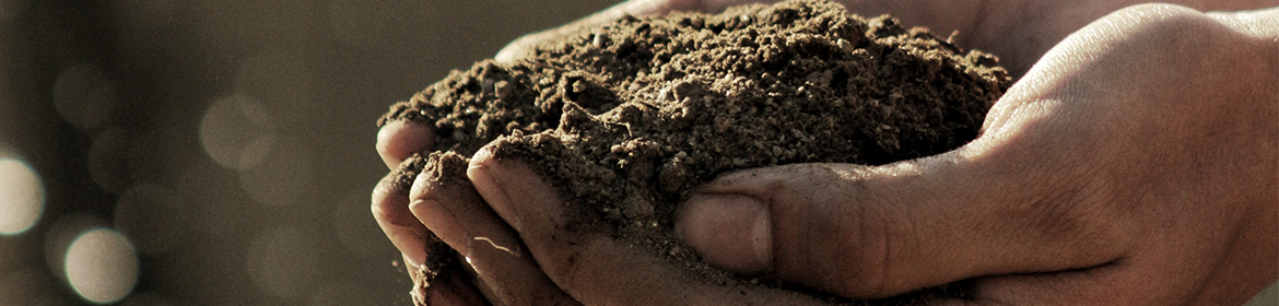 Person with handfuls of soil