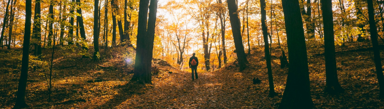 autumn walks