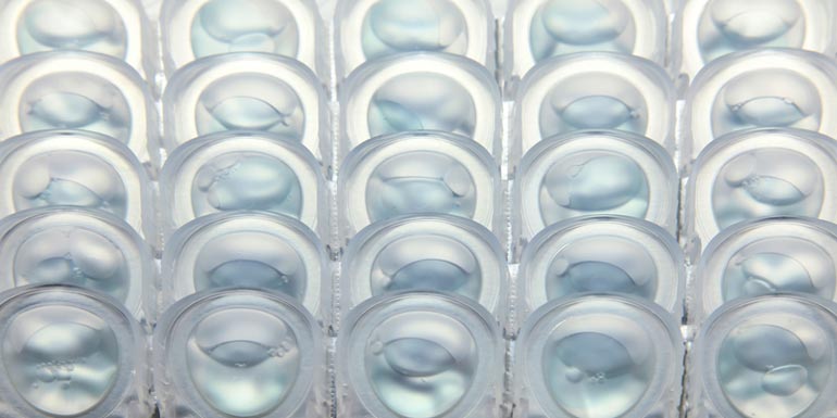 Group of contact lens strips