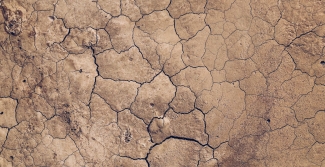 Image of dry ground