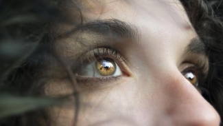close-up of brown eyes
