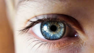 eyes and lies