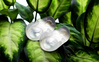 lens pack blisters on plant leaf