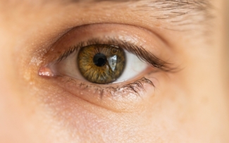 hazel eyes contacts
