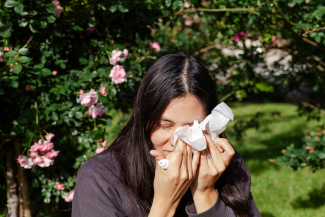 hay fever and contact lenses