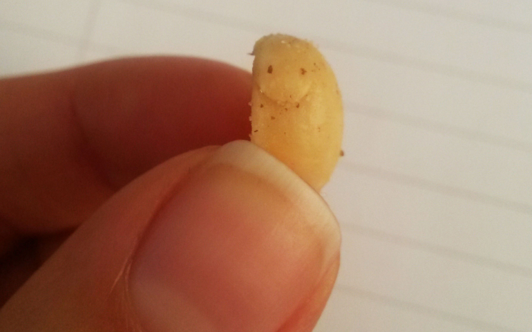 20150904_111253.jpg