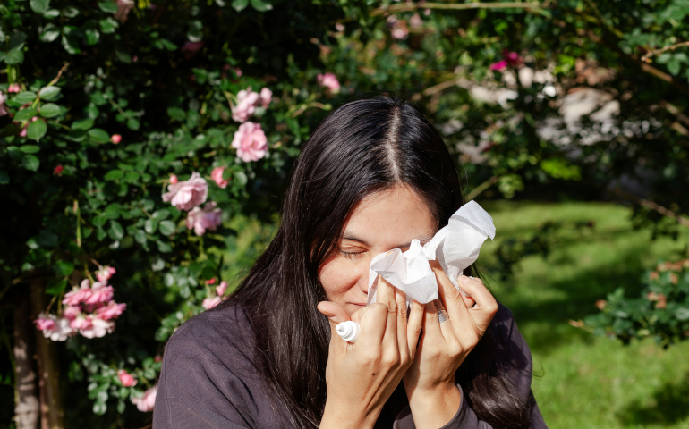 hay fever and contact lenses