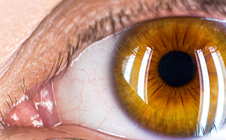 Close up photo of a brown eye