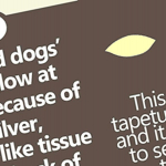Banner inforgraphic 9 pet eye facts