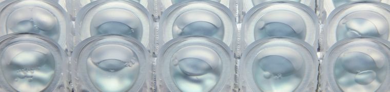 daily contact lens strips