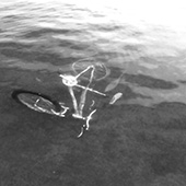 Cycling in water Thumbnail