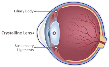 Crystalline Lens