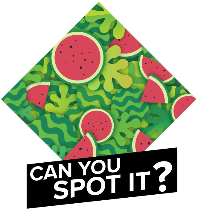 Can You Spot It Lenstore Co Uk
